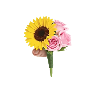 Twinkling Sunflower Dance