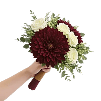 Regal Burgundy Display