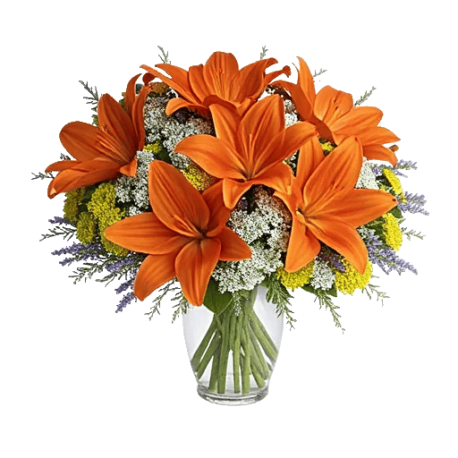 Blossom Glow Symphony