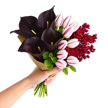Elegant Calla Lilies