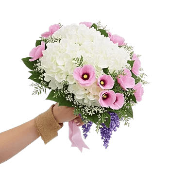 Serene Petal Harmony