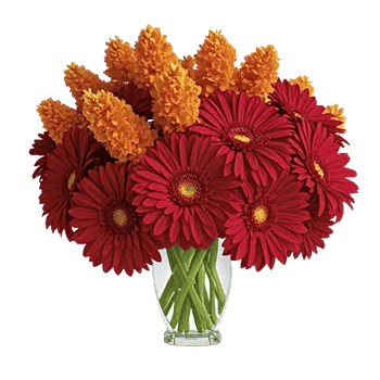 Petal Radiance Bliss