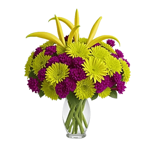 Petal Radiance Bliss