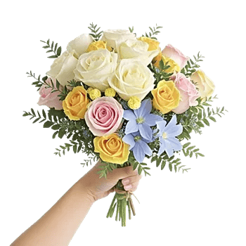 Blossom Petal Serenity