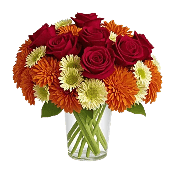 Crimson Blossom Harmony