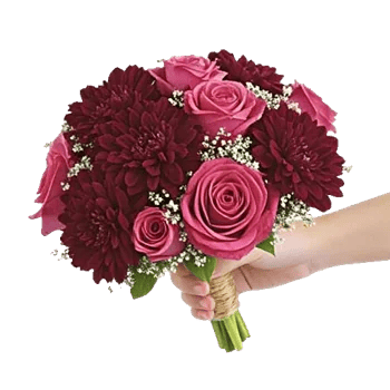 Crimson Rose Elegance