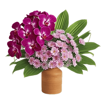 Orchid Petal Glow