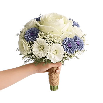 Delicate Petal Cascade