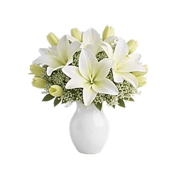 Graceful Lily Display