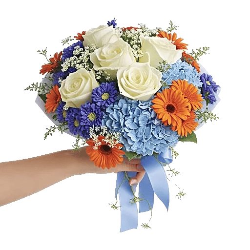 Serene Petal Harmony