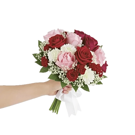 Crimson Rose Elegance