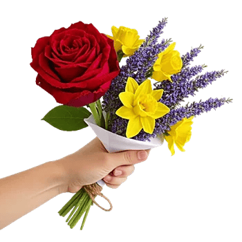 Crimson Rose Elegance