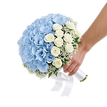 Serene Petal Harmony