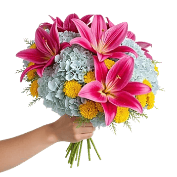 Blooming Serenity Display