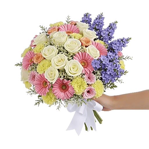 Blushing Rose Symphony