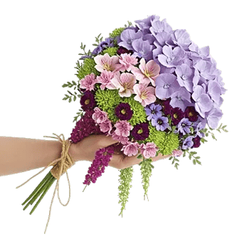 Serene Petal Harmony