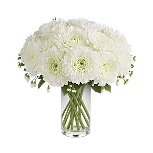 Delicate Petal Cascade