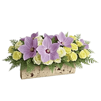 Delicate Petal Cascade
