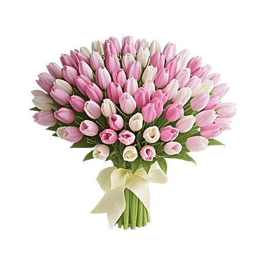 Velvet Tulip Display