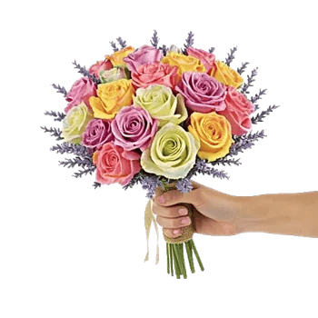 Pastel Pink Roses