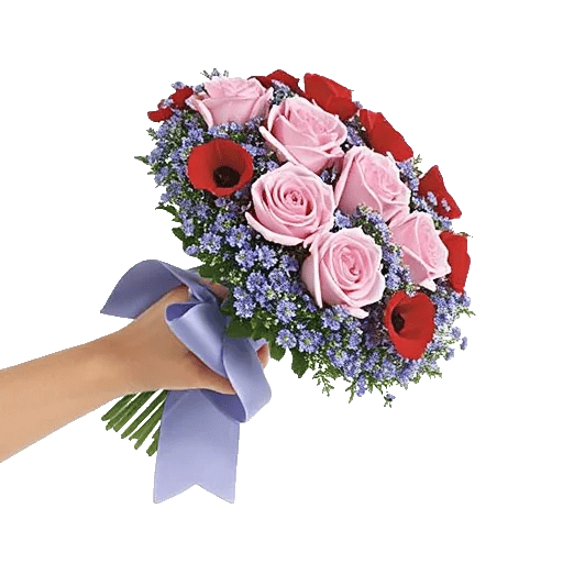Pastel Pink Roses