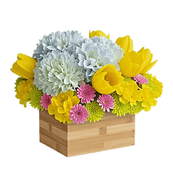 Blooming Serenity Display
