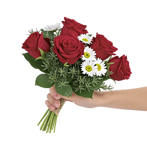 Crimson Rose Elegance