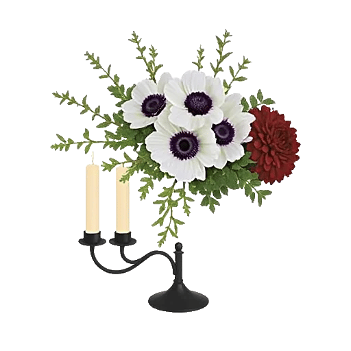 Ivory Blossom Radiance