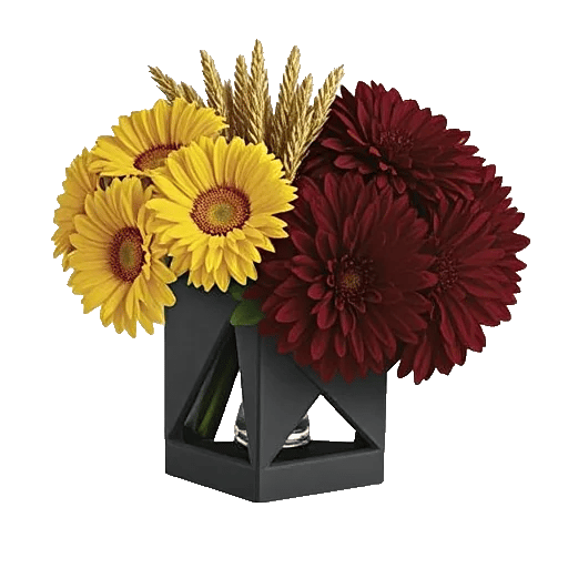 Golden Petal Harmony