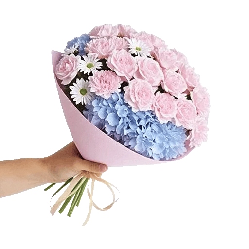 Serene Petal Harmony