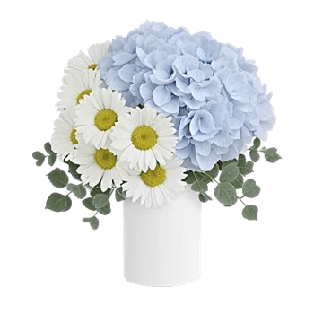 Ivory Blossom Radiance