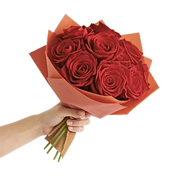 Petal Radiance Bliss