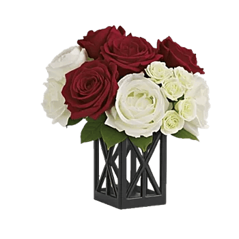 Petal Radiance Bliss