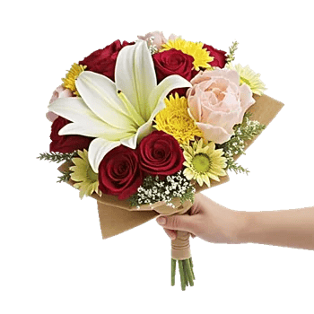 Blossom Harmony Display