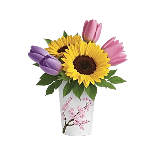 Velvet Tulip Display