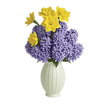 Ivory Blossom Radiance