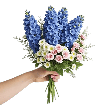 Serenity Blossom Grace