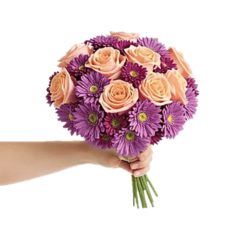 Petal Grace Harmony