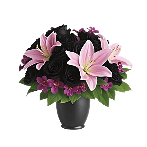 Modern White Orchids