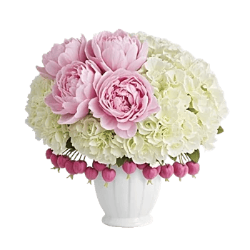 Ivory Blossom Radiance