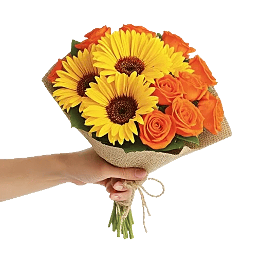 Petal Harmony Bliss