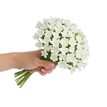 Minimalist White Orchids