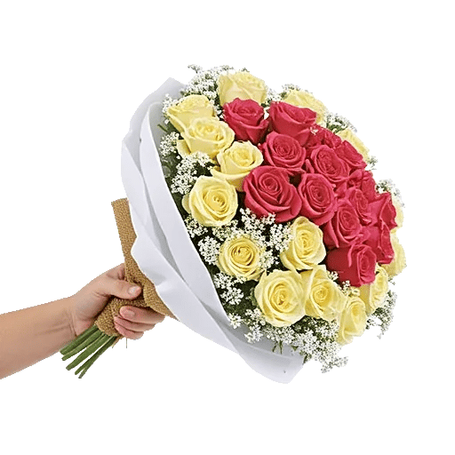 Blushing Rose Symphony
