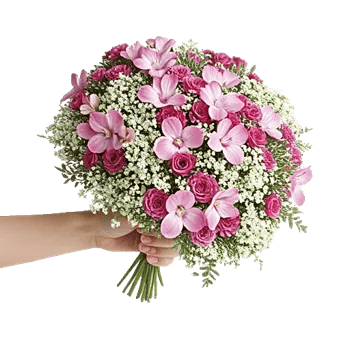 Ivory Garden Grace