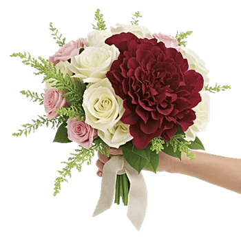 Blushing Rose Symphony