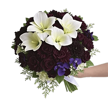 Delicate Petal Cascade