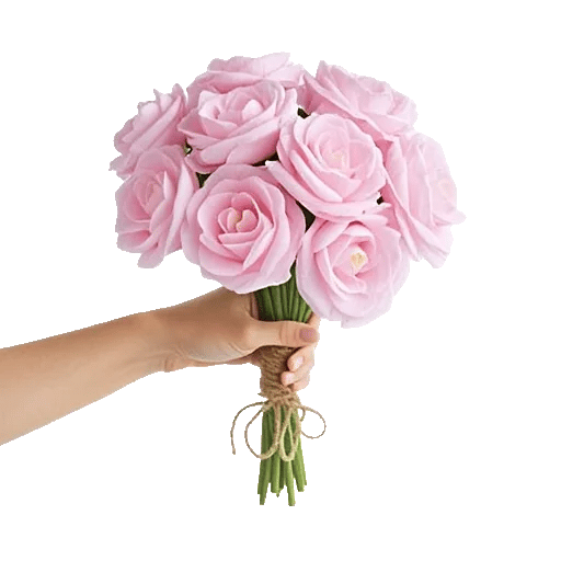 Pastel Pink Roses
