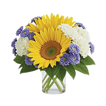 Radiant Bloom Cascade