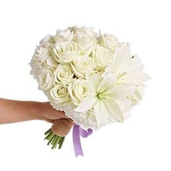 Serene Petal Harmony