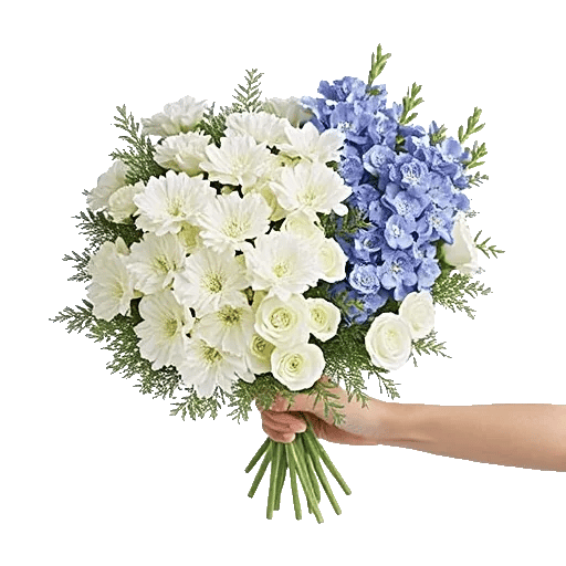 Blossom Harmony Display